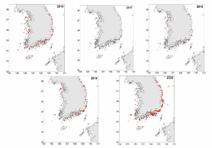 Yearly distribution of N. nomurai in Korean coastal waters during 2016〜 2020