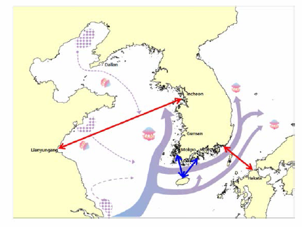 The route for ferry survey of N. nomurai. (red line: international line, blue line: domestic line)