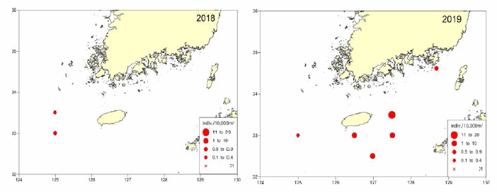 Distribution of Cyenea nozakii by trawl survey (2018〜 2019)