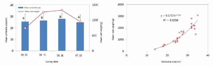 Mean umbrella size, wet weight, and correlation (n=27)