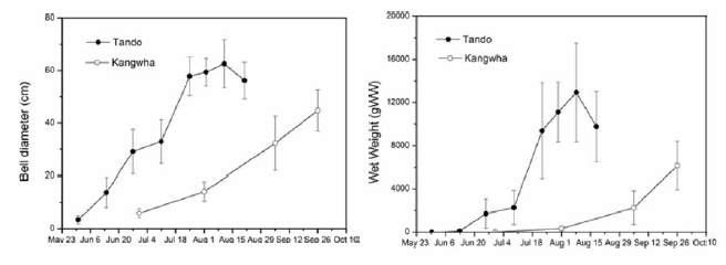 Size and wet weight changes of R. esculentum in Kanghwa and Tando during survey period