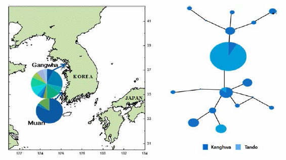 Genetic diversity and genotype relationship between Kanghwa and Tando