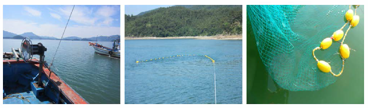 Picture of sea trial test of the jellyfish removal device. Distance between two boats was 15 m (left), length of warp 25 m (middle), jellyfish in the mouth of bag net (right)