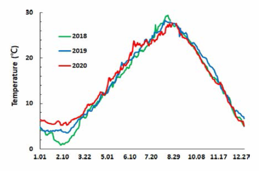 Daily mean values of surface water temperature of Changri (Seosan) in Cheonsu Bay (2018-2020)