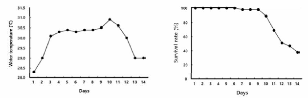 Water temperature change and survival rate of high water temperature critical experiment in rockfish, Sebastes schlegeli