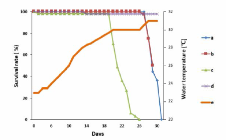 Survival rate and water temperature of system for high water temperature damage reduction and no device installation, a, High water temperature damage reduction; b, Liquefide oxygen; c, No device installation and high water temperature; d, No device installation and natural water temperature; e, Natural water temperature