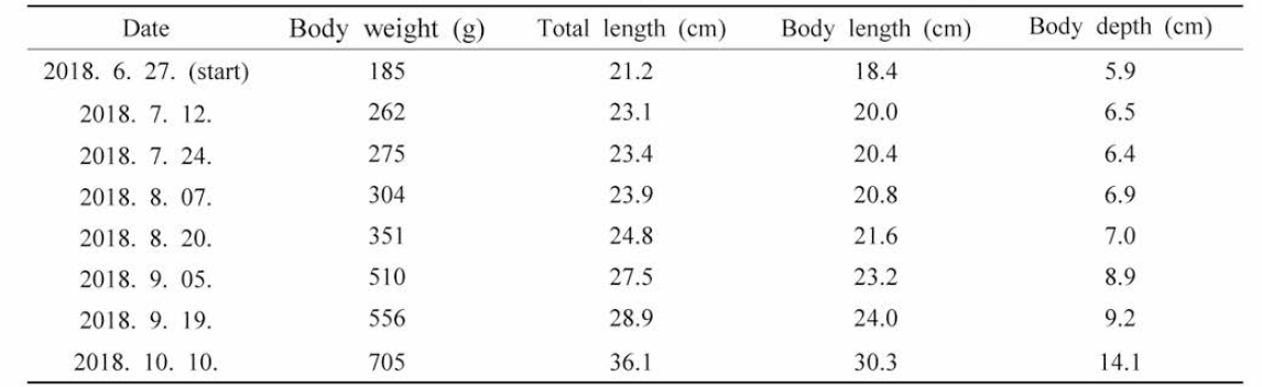 Growth performance of hybrid groupers, Epinephelus fuscoguttatus ♀X Epinephelus lanceolatus ♂