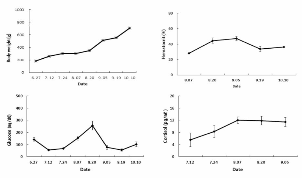 Changes of body weight and blood physiology in hybrid grouper, Epinephelus fuscoguttatus ♀xEpinephelus lanceolatus ♂ . (black)