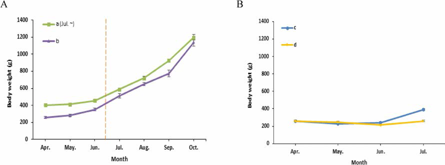 Growth performance of hybrid groupers, Epinephelus fuscoguttatus ♀xEpinephelus lanceolatus♂ in various types of farm. A, Growth of body weight in Running water (a) and RAS (b); B, Growth of body weight in Running water (c) and BFT (d)