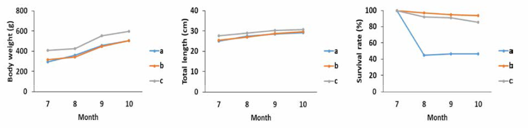 Growth of body weight (left) and total length (center), survival rate (right) of hybrid grouper, Epinephelus fuscoguttatus ♀xEpinephelus lanceolatus ♂ in net cage a, b, c