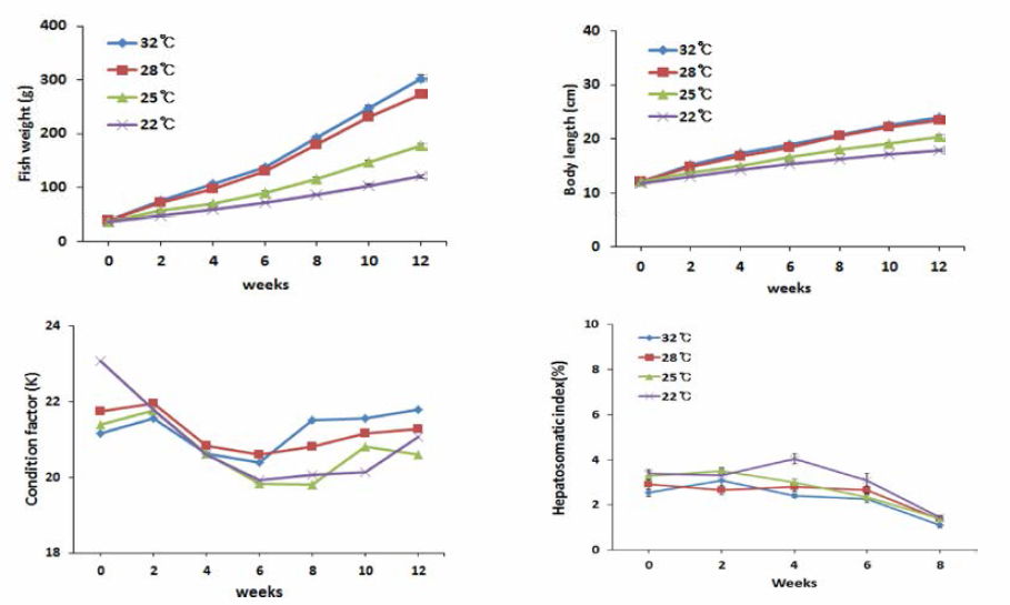 Changes of body weight, body length, condition factor and hepatosomatic index of growth in hybrid grouper, Epinephelus fuscoguttatus ♀xEpinephelus lanceolatus ♂