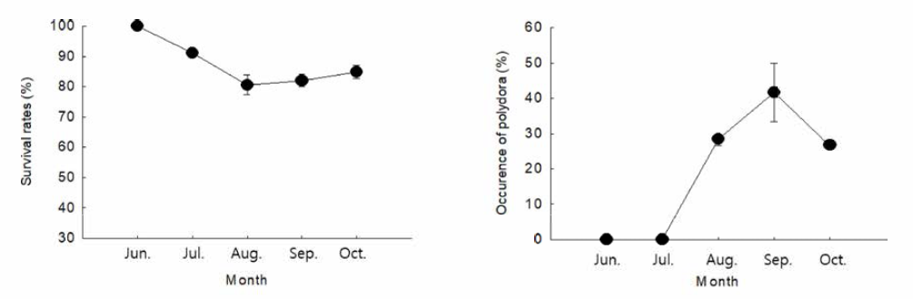 Changes in monthly survival rate and occurrence rate of polydora in shell by Cheonsu Bay Argopecten irradians