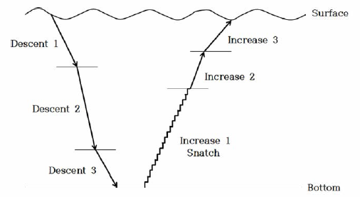 Schematic diagram of the speed control section of an automatic control device