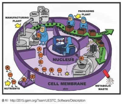 세포의 기능을 공장에 비교한 세포공장 모식도