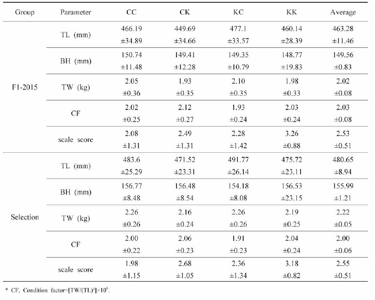 External morphometric analysis of F1-2015