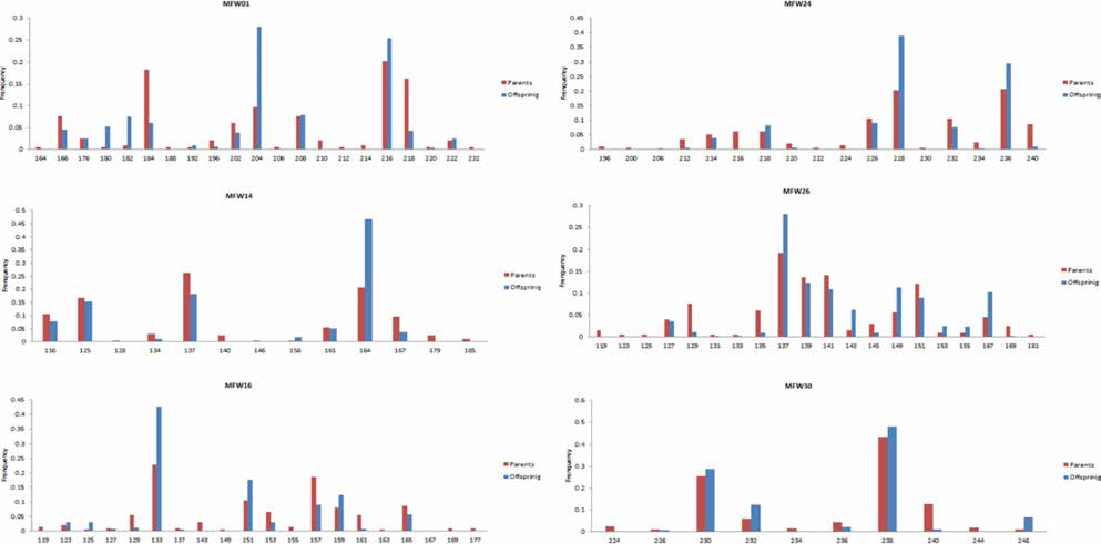 Allele frequency analysis of broodstock and F1-2015