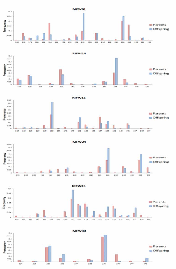 Allele frequency analysis by marker for the broodstock and F1