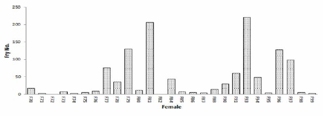 Number of offsprings for each female of F0 broodstock