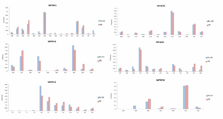 Allele frequency analysis by marker for the broodstock and F2-2019