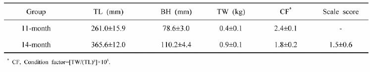 Morphological values of carps (F2-2019)