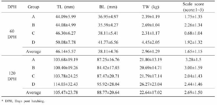 Morphological analysis of the C1-1-2017 generation by DPH