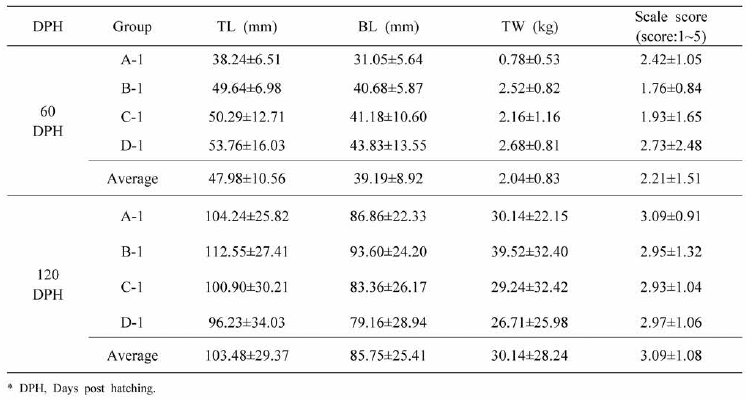 Morphological analysis of the C1-2-2017 generation by DPH