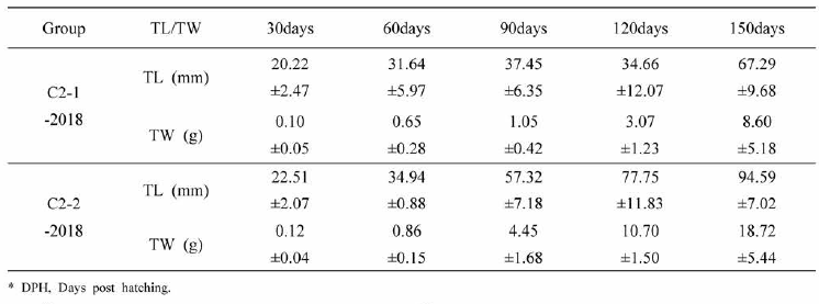 Morphological analysis of the C2-2018 generation by DPH