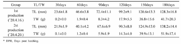 Morphological analysis of the C3-2020 generation by DPH