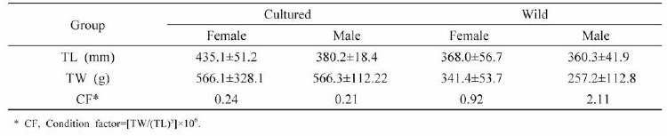 External morphometric analysis of far eastern catfish broodstock