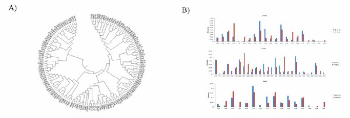 Genetic analysis of far eastern catfish broodstock (A, phylogenetic tree; B, allele frequency)