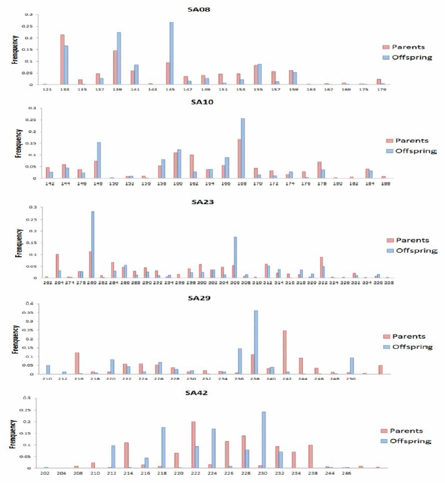 Allele frequency analysis by marker for the broodstock and F1-2017