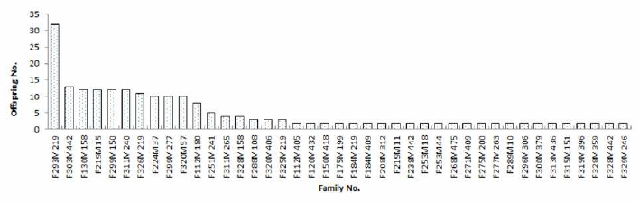 Number of individuals of F2-2018 family