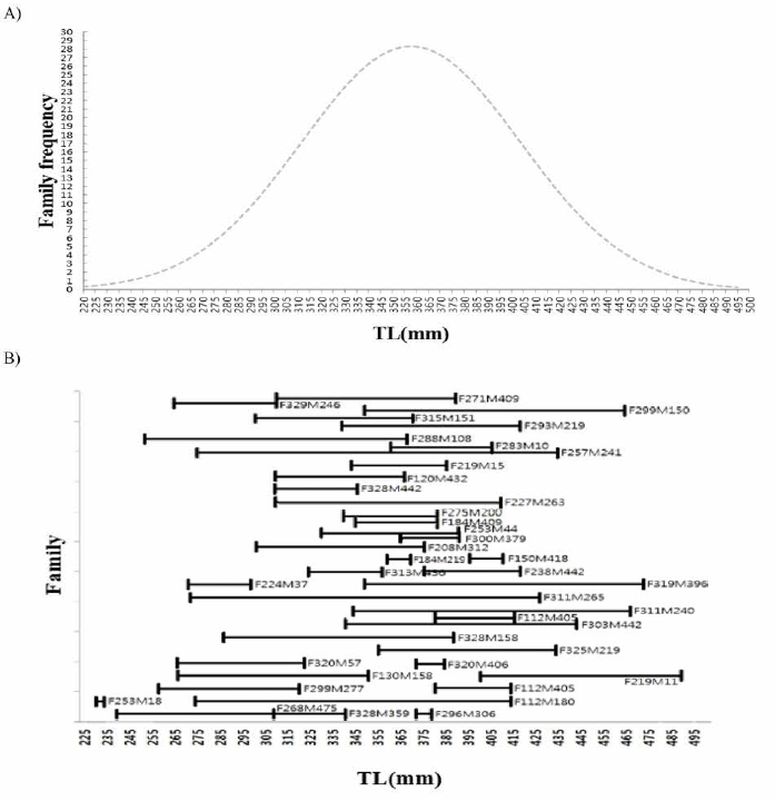 Family analysis of F2-2018 according to the total length (A, Family frequency analysis according to total length; B, Family analysis according to total length)