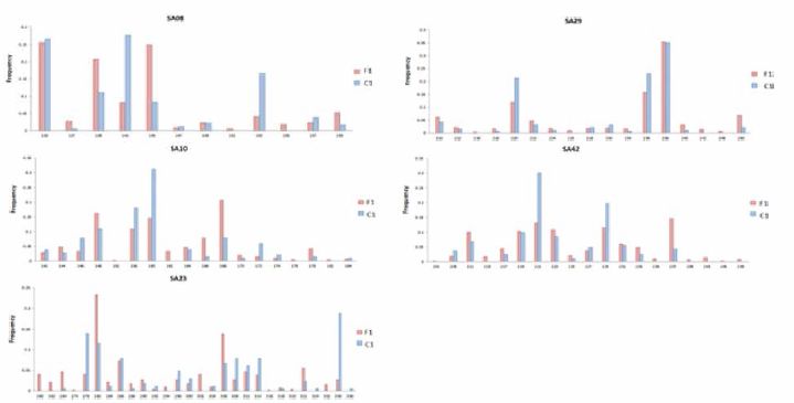 Allele frequency analysis by marker for the F1-2018 and C2-2019