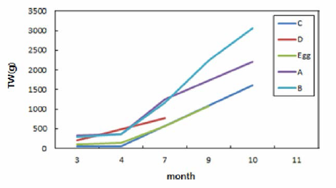 Changes in weight of supplied Israeli carp (Cyprinus carpio) in 2017