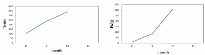 Changes in total length and weight of Cat fish (Silurus asotus) in 2018. (흑백)