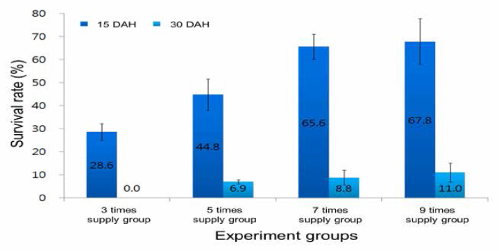Survival rates of larvae by diet supply times and interval among 1st experimental groups (DAH: day after hatching)
