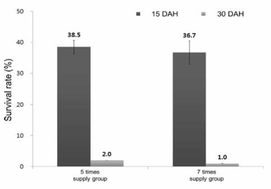 Survival rates of larvae by diet supply times among 3rd experimental groups (DAH: day after hatching)