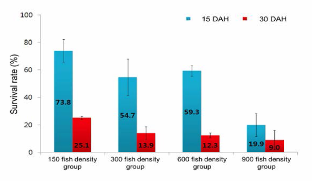 Survival rates of larvae by different fish density among experimental groups (DAH: day after hatching)