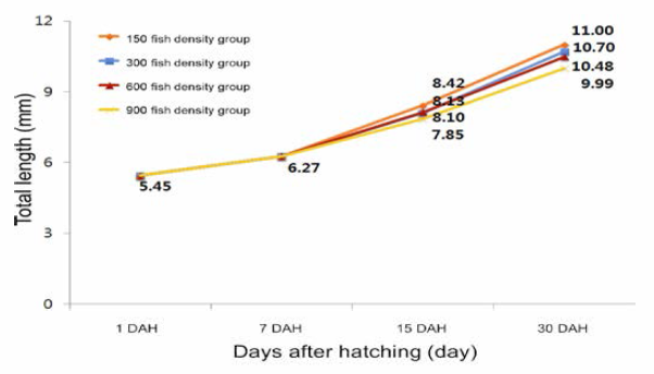 Total length of larvae by different fish density among experimental groups
