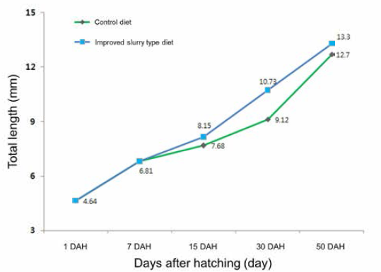 Total length of larvae by improved slurry type diet and control diet