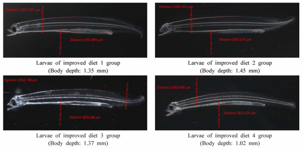 Larvae by 4 improved slurry type diet among experimental groups