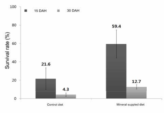 Survivals rates of larvae by mineral supplement diet and control diet
