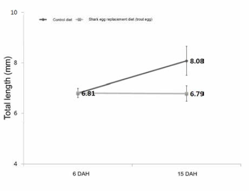 Total length of larvae by shark egg replacement diet and control diet