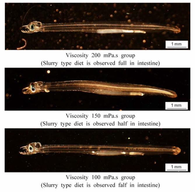 Remained diet in intestine of larvae by different viscosity diets