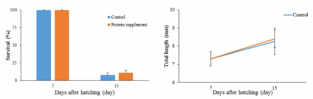 Survival rates and total length of larvae by protein supplement diet and control diet