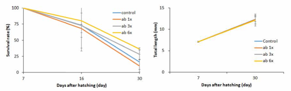 Survival rates and total length of larvae by antibiotics supplement diets and control diet (30 days after hatching)