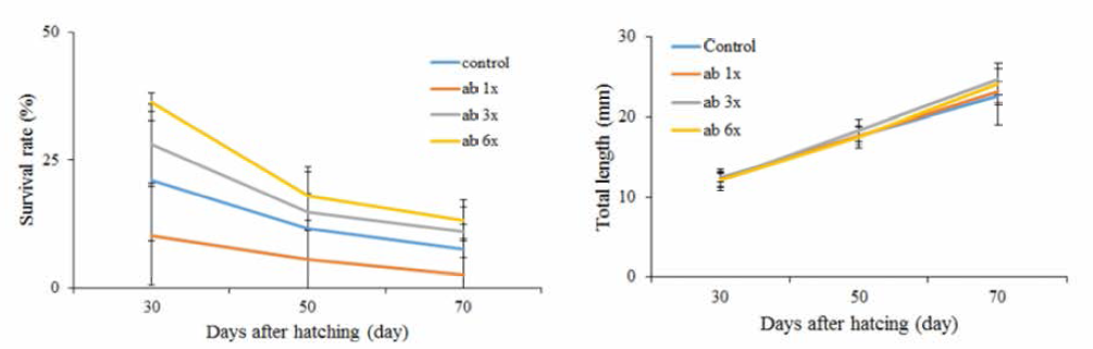 Survival rates and total length of larvae by antibiotics supplement diets and control diet (70 days after hatching)