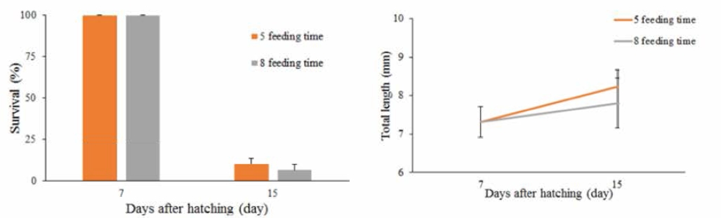 Survival rates and total length of larvae by 5 and 8 times of feeding among experimental groups