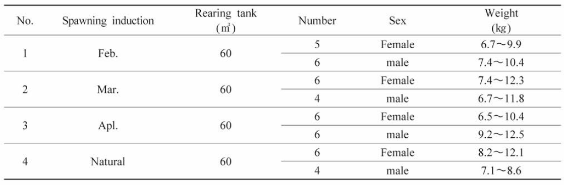 S. quinqueradiata broodstock breeding management in 2019